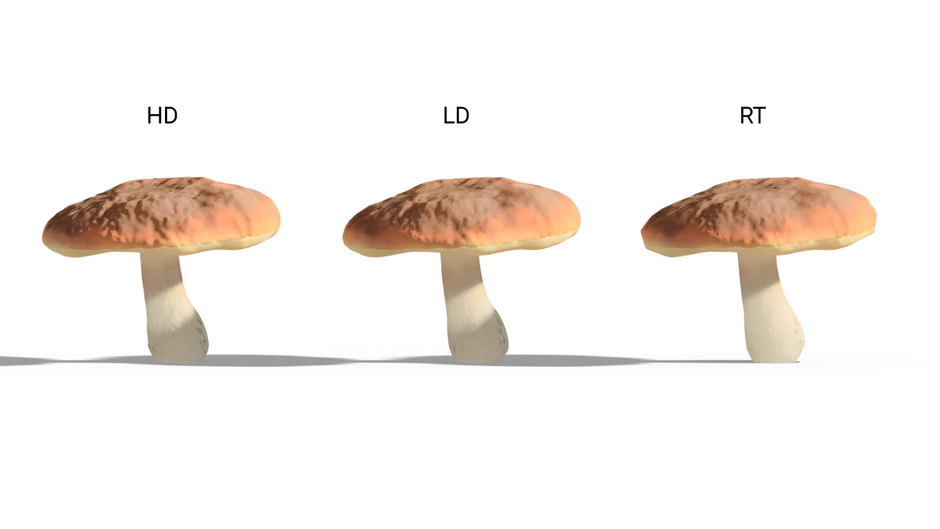 3D model of the Cep Boletus edulis included versions