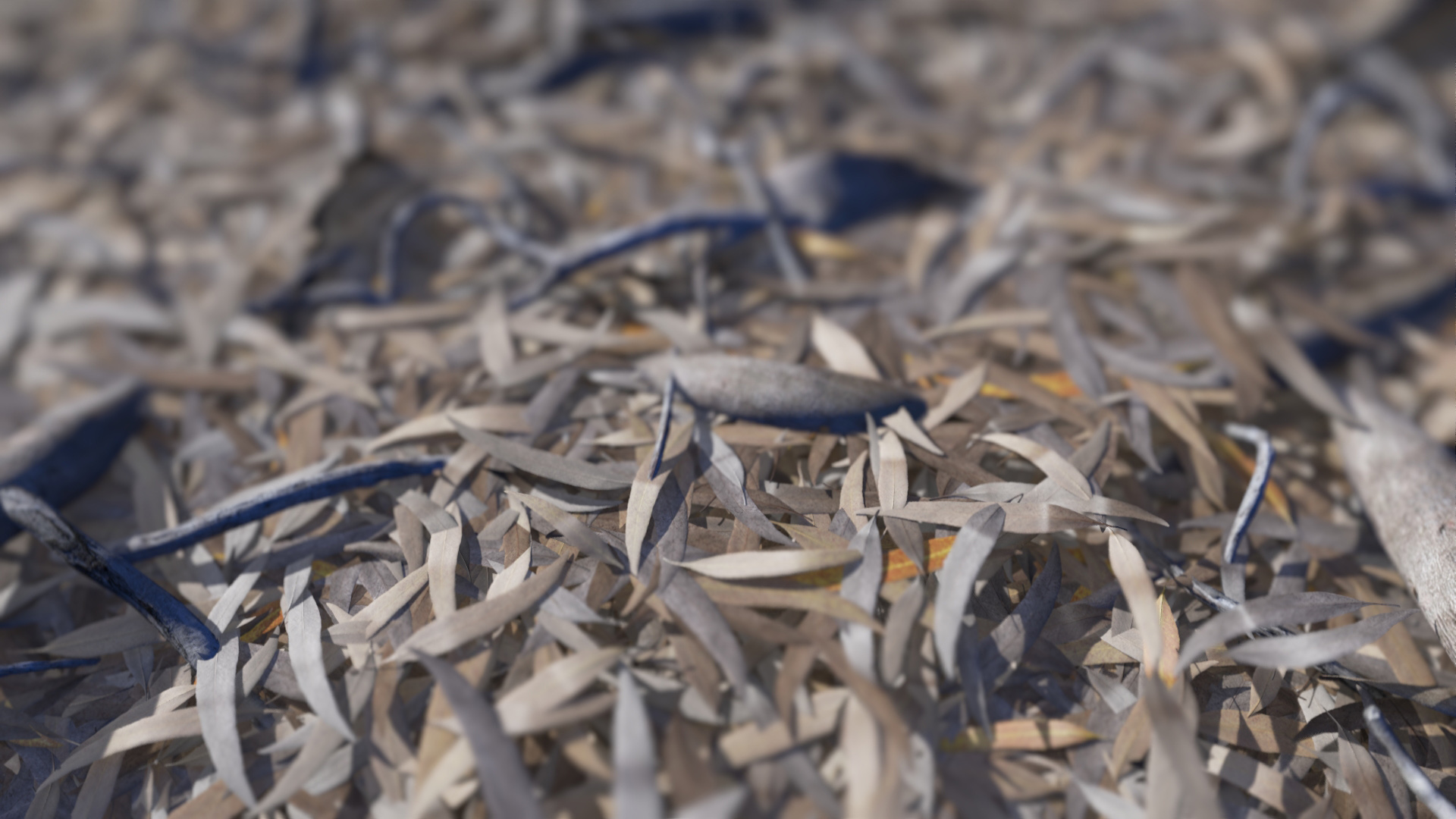 3D model of the Generic gum leaf litter Eucalyptus leaf litter close-up