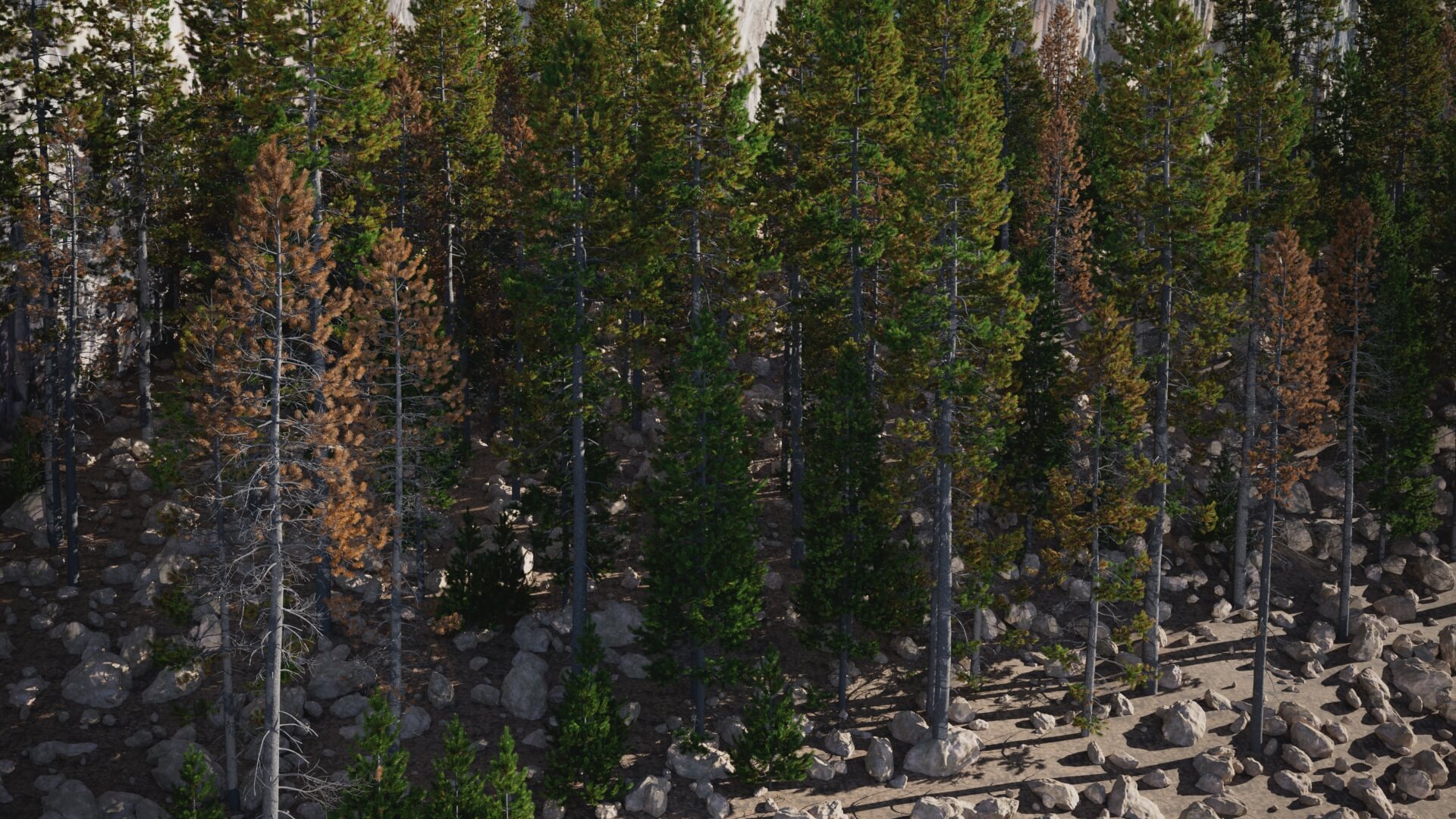 3D model of the Dead Lodgepole pine forest Pinus contorta dead forest