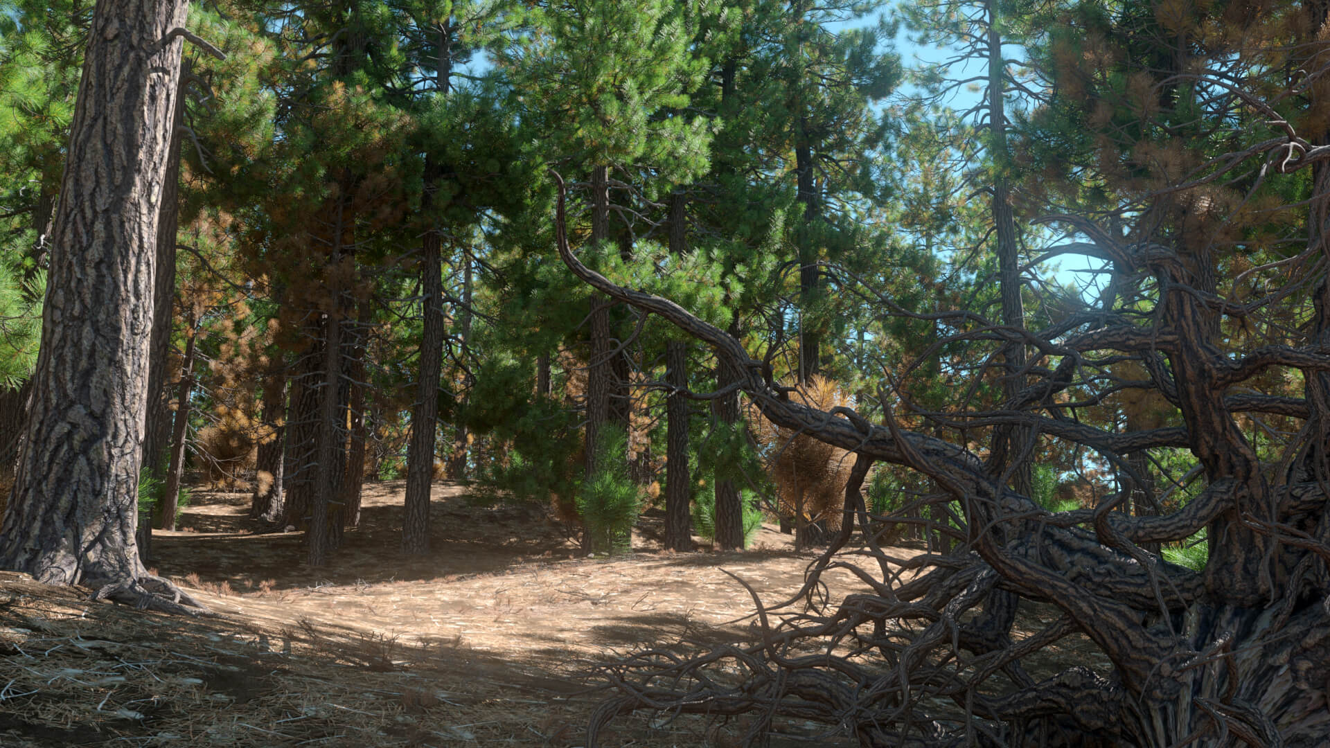 3D model of the Ponderosa pine uprooted Pinus ponderosa uprooted
